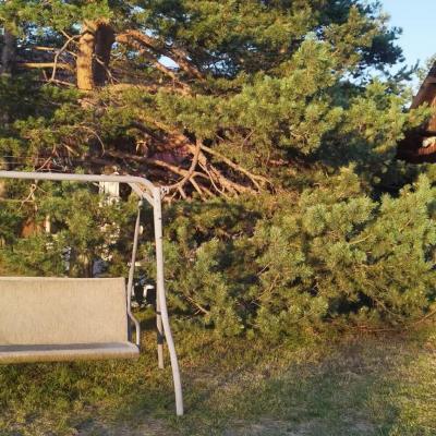 Brvnare Markovic - Divčibare - ljuljaška