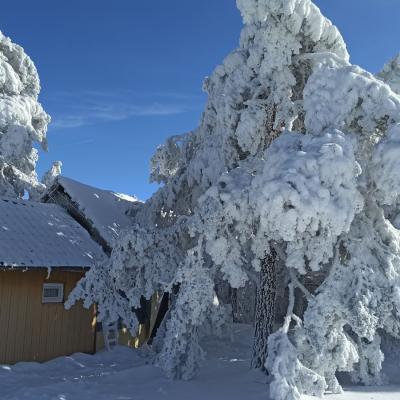 Brvnare Marković - Divčibare - Zima