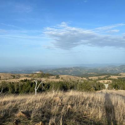 Kraljev Sto - Divčibare - Brvnare Marković