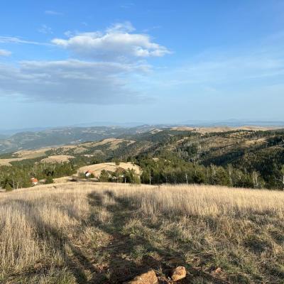 Kraljev Sto - Divčibare - Brvnare Marković