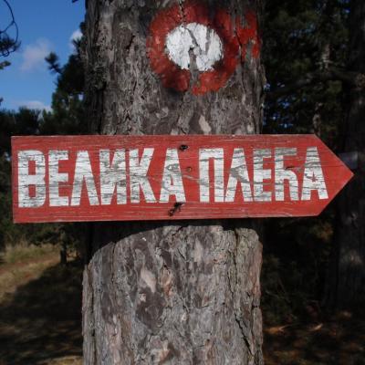 Brvnare Markovic Divcibare Velika Pleca 100