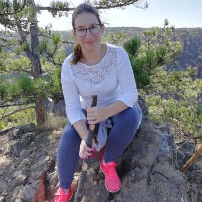 Brvnare Marković - Divčibare