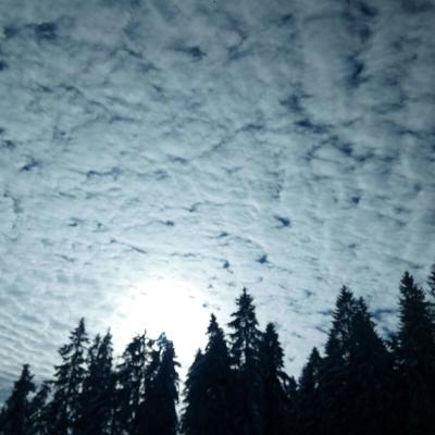 Brvnare Marković - Divčibare