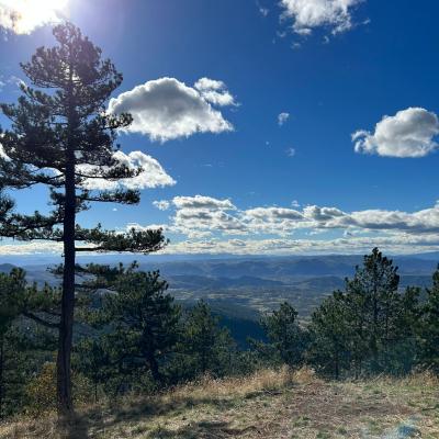 Crni Vrh - Divčibare - Brvnare Marković