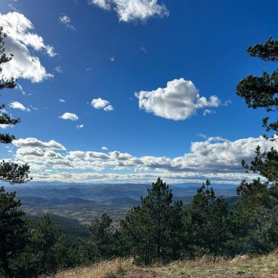 Crni Vrh - Divčibare - Brvnare Marković